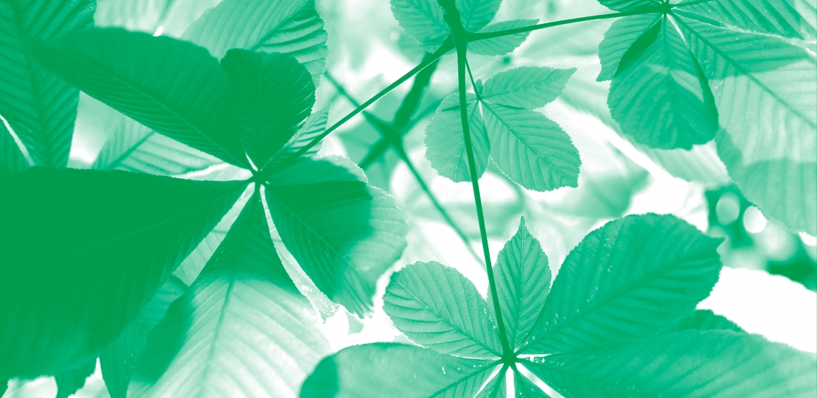 Immagine convegno servizi ecosistemici