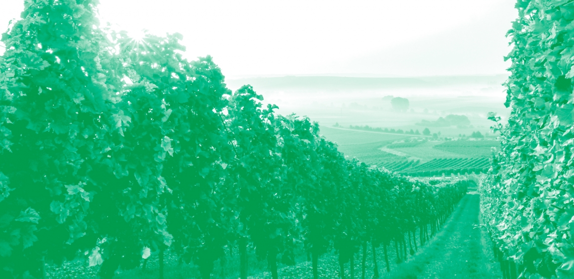 Immagine convegno attrattività del territorio rurale